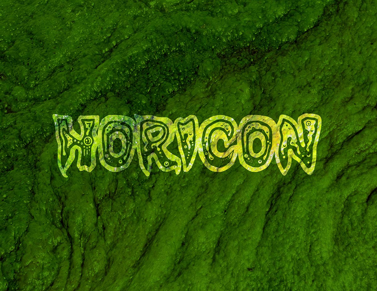 Horicon